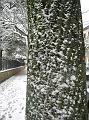 Neve (73)